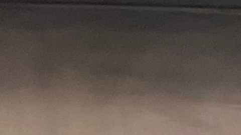 Juan Manuel Santoyo, propietario de Tamales Liliana’s, muestró todo el producto para la venta de ayer martes. / foto: Jorge Luis Macías.