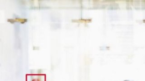 ¿Qué significa que tu cara se convierta en datos?