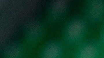 quien es responsable caso viñas