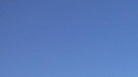 Este signo siempre mantiene una actitud positiva.