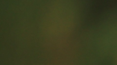 Tiger Woods sufrió un fuerte accidente en Los Ángeles.