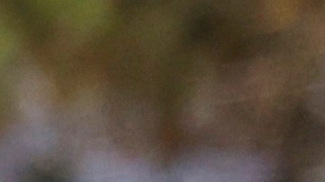 Tiger Woods volvió a acaparar as portadas en el mundo entero.