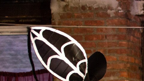 La banda Jarana Beat se fundó en el sur de El Bronx, cuya demografía ha cambiado desde hace unas décadas. Foto: Cortesía