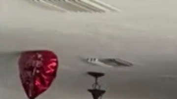 El auto chocó contra la pared de una habitación y llegó hasta el salón de la casa.