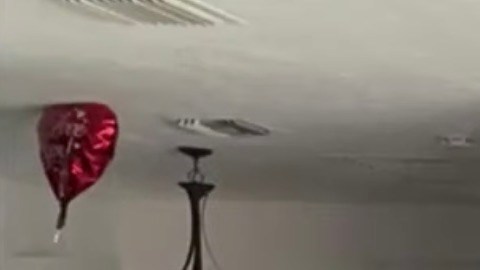 El auto chocó contra la pared de una habitación y llegó hasta el salón de la casa.
