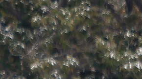 Las nevadas afectan más en los estados del sur del país.