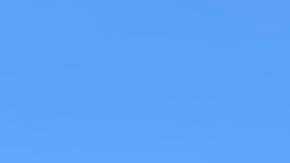 Street Ambassadors se encarga de mantener las calles limpias. (Suministrada)