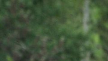 Mackenzie Scott tiene un patrimonio neto estimado de en torno a los $53,000 millones.