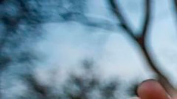 Joven de origen asiático