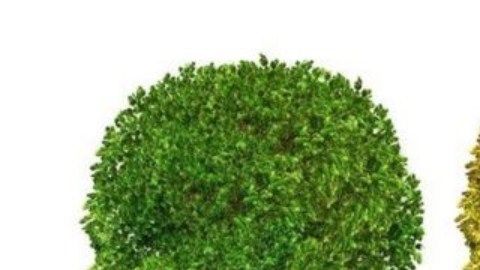 Los únicos medicamentos aprobados para el alzhéimer solo alivian algunos de los síntomas, parcial y temporalmente.