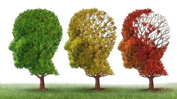 Los únicos medicamentos aprobados para el alzhéimer solo alivian algunos de los síntomas, parcial y temporalmente.