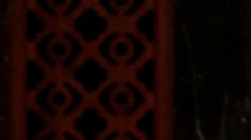 Los primeros casos de coronavirus se reportaron en China.