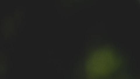 17 de marzo el dia de la suerte