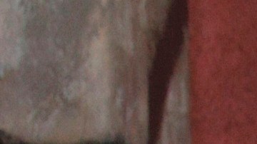 Ricardo González GUtiérrez "Cepillín"