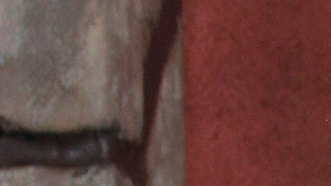 Ricardo González GUtiérrez "Cepillín"