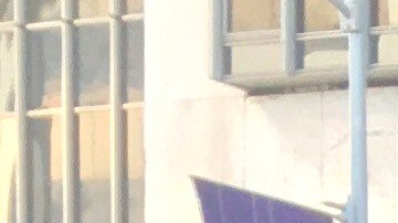 El actor Armie Hammer junto a la víctima.