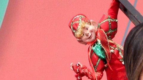 Satcha Pretto y Francisca Lachapel, conductoras de Despierta América, reaccionan a la buena noticia de Chiquibaby