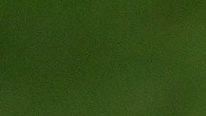 andres guardado quinto mundial