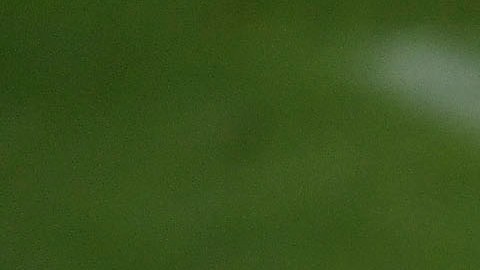 andres guardado quinto mundial