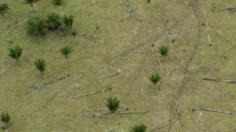 La venta ilegal de tierras es un problema en toda la Amazonía.