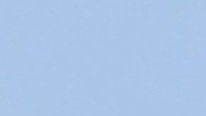 Protesta a favor de abrir las escuelas