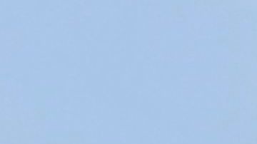 Protesta a favor de abrir las escuelas