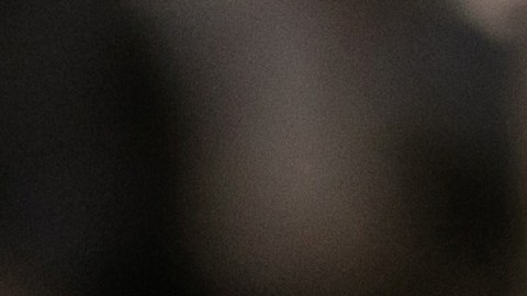 Más familias y niños sin acompañantes llegan en busca de asilo en EE.UU.