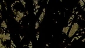 La policía acordonó el lugar del ataque donde hirieron a 8 en Vetlanda, Suecia.