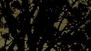 La policía acordonó el lugar del ataque donde hirieron a 8 en Vetlanda, Suecia.