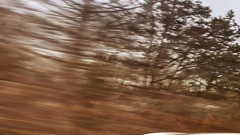 Bentley-Continental-GT-Speed-240321-07