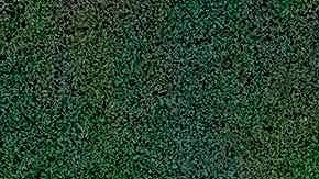 Protestas Breonna Taylor en Los Ángeles