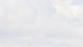 Jornaleros mexicanos en Estados Unidos