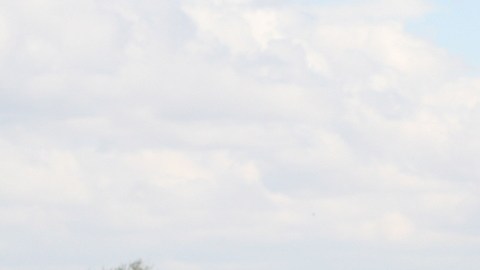 Jornaleros mexicanos en Estados Unidos