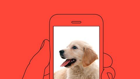CR-Tech-Inlinehero-p2p-pupp-fraud-1220
