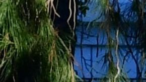 Campamento en el lago de Echo Park