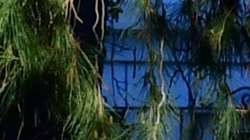 Campamento en el lago de Echo Park