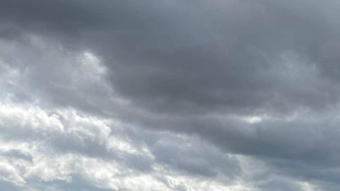 La falta de vacunas es motivo de preocupación de los campesinos.
