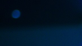 Bichir es una escena de Godzilla vs. Kong.