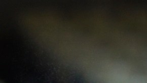 Eric Garcetti en Dodger Stadium