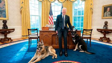 Joe Biden con sus perros pastores alemanes
