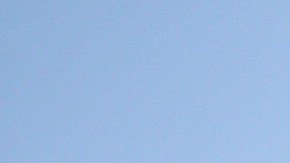 Dos empleados mueven el ataúd de una persona que murió tras contraer COVID-19, el 15 de enero de 2021 en El Cajon, California.