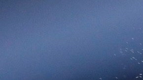 Suspenden al juez que dio amplia ventaja en su tarjeta al ‘Gallo’ Estrada