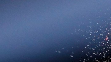 Suspenden al juez que dio amplia ventaja en su tarjeta al ‘Gallo’ Estrada