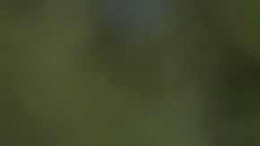 Según una fuente del Gobierno, la Patrulla Fronteriza ha detenido a extranjeros de países como Rusia e Irak.