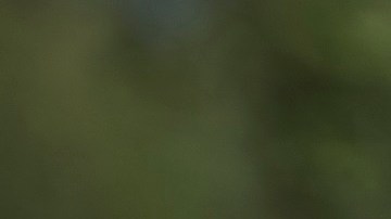 Según una fuente del Gobierno, la Patrulla Fronteriza ha detenido a extranjeros de países como Rusia e Irak.