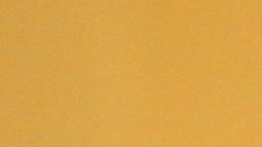 Joe Arpaio dijo que Ava fue su esposa por 63 años.