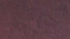 Disney se mete en problemas con el público.