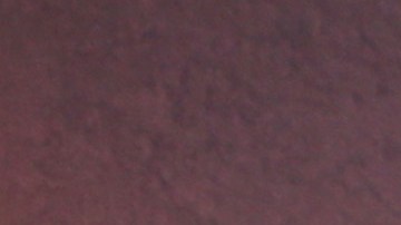 Disney se mete en problemas con el público.