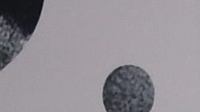 Justin Bieber y Hailey Bieber