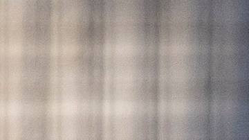 El video de los leones en la nieve ha causado sensación.